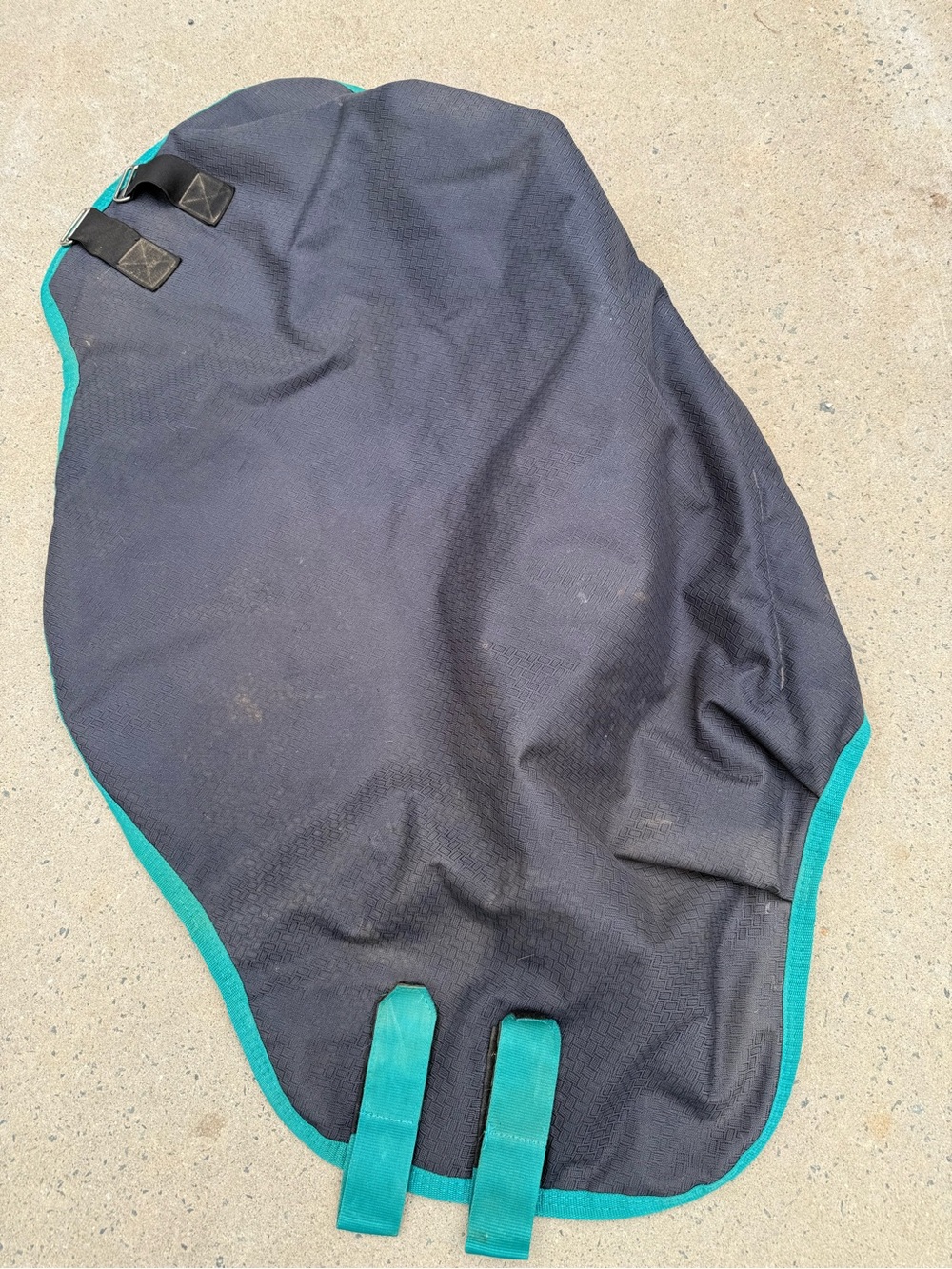 Weatherbetta Neck Cover size M Black w/ Teal Trim Turnout w/ fill